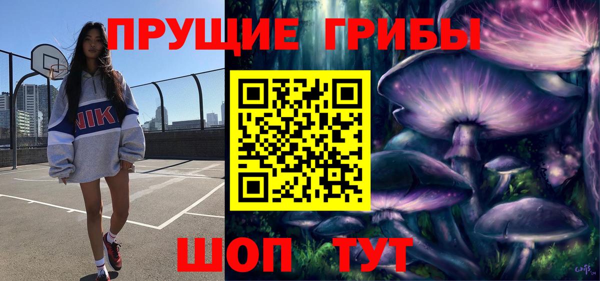 Белая Калитва  Псилоцибиновые грибы Psilocybine cubensis  Вход с VPN 